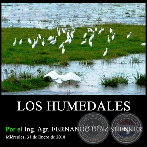 LOS HUMEDALES - Ing. Agr. FERNANDO DÍAZ SHENKER - Miércoles, 31 de Enero de 2018